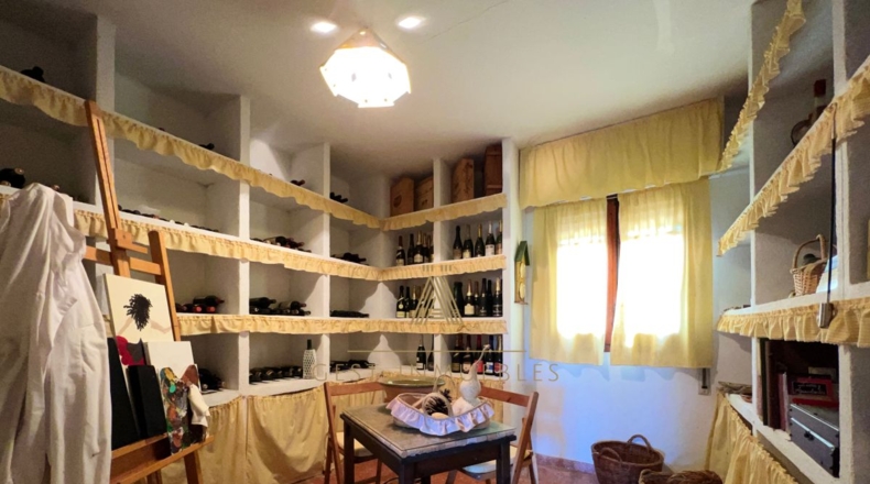 Castellón - Castelló de la Plana - 8720m2
