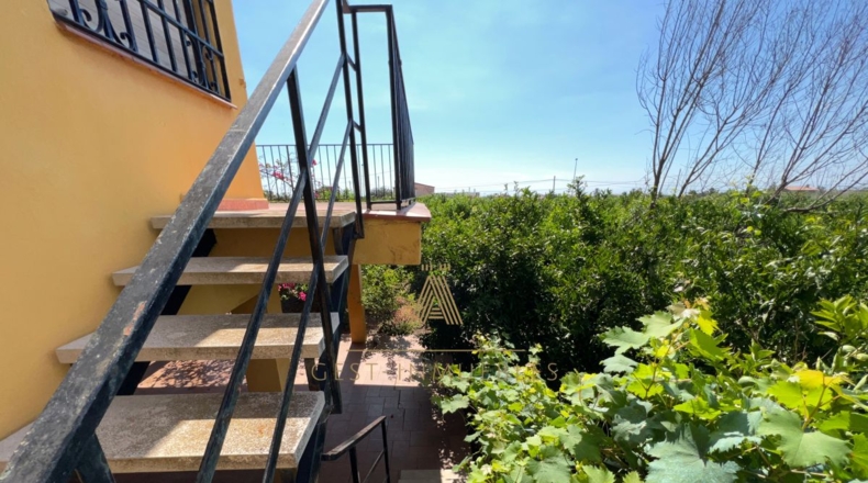 Castellón - Castelló de la Plana - 8720m2