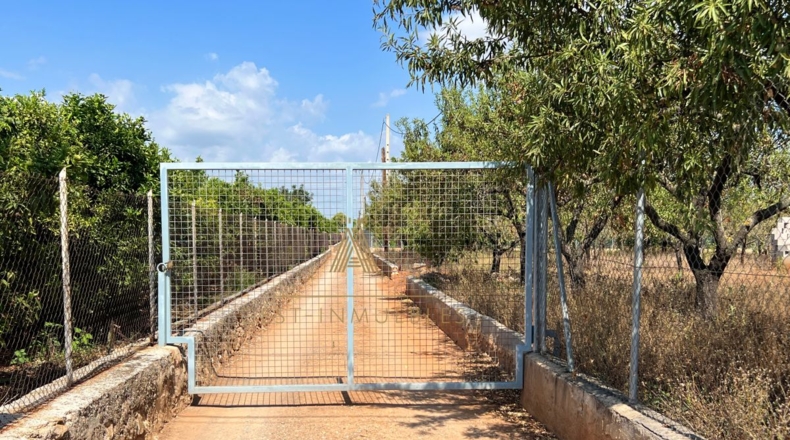 Castellón - Castelló de la Plana - 8720m2