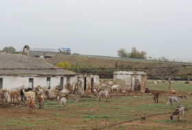 Lora del Río 6166&nbsp;m²