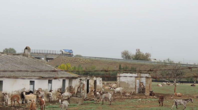 Sevilla - Lora del Río - 6166m2