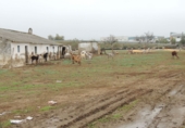 Non-developable land for sale in Lora del Río ref: TR92957 photo