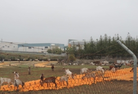 Lora del Río 6166&nbsp;m²