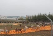 Non-developable land for sale in Lora del Río ref: TR92957 photo