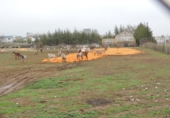 Non-developable land for sale in Lora del Río ref: TR92957 photo