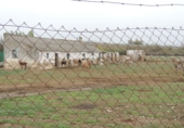 Non-developable land for sale in Lora del Río ref: TR92957 photo