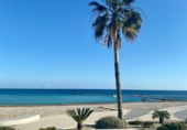Chalet independiente con terreno en venta en Altea la Vieja ref: TR201535 foto