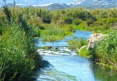 Chalet independiente con terreno en venta en Altea la Vieja ref: TR201535 foto