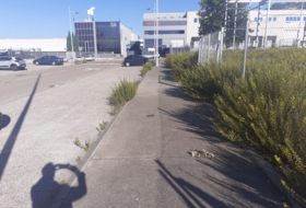 Foto 1