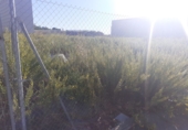 Sòl urbà en venda a la España, Valladolid, ref.: TR92340 foto