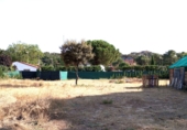 Terreny no urbanitzable en venda a Boecillo ref.: TR110596 foto