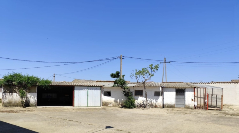 Valladolid - Вильяфречос - 1800m2