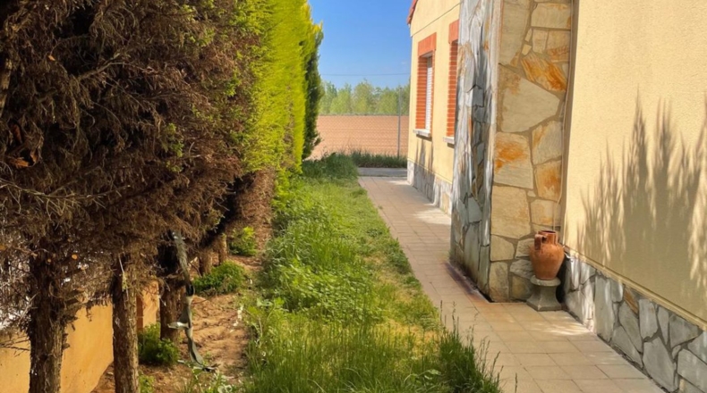 Valladolid - San Miguel del Pino - 259m2