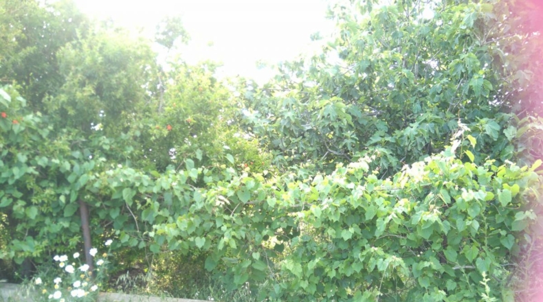 Cádiz - El Puerto de Santa María - 4500m2