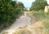 Chalet independiente con terreno en venta en El Puerto de Santa María ref: TR23354 foto