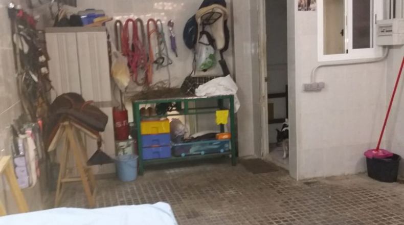 Cádiz - Jerez de la Frontera - 440m2