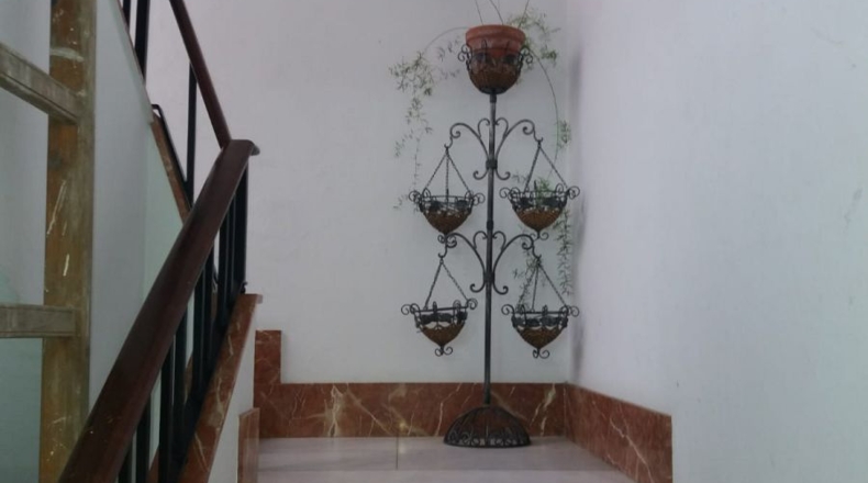 Cádiz - Jerez de la Frontera - 440m2