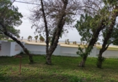 Xalet independent amb terreny en venda a Sanlúcar de Barrameda ref.: TR22453 foto