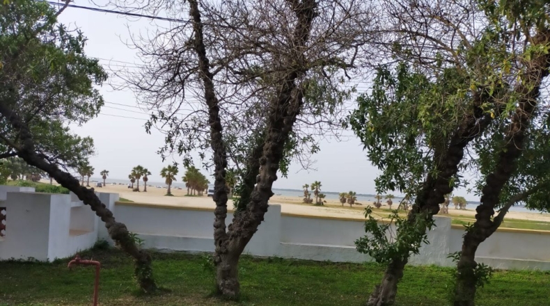 Cádiz - Sanlúcar de Barrameda - 1790m2