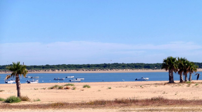 Cádiz - Sanlúcar de Barrameda - 1790m2