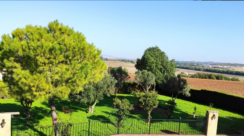 Cádiz - Jerez de la Frontera - 2000m2