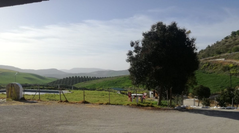 Cádiz - Setenil de las Bodegas - 50000m2