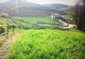 Finca rústica en venda a Setenil de las Bodegas ref.: TR76669 foto