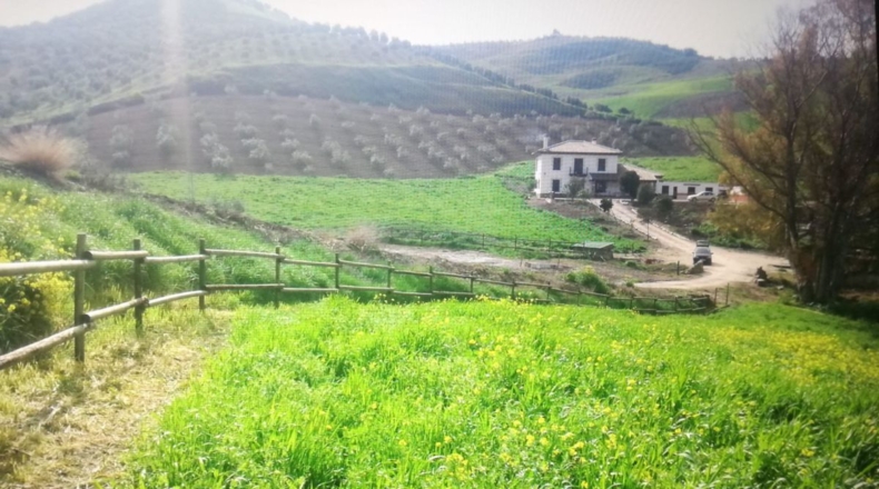Cádiz - Setenil de las Bodegas - 50000m2