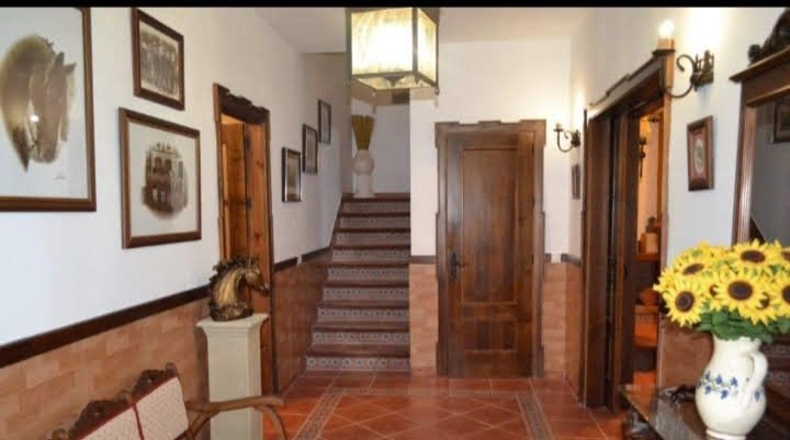 Cádiz - Setenil de las Bodegas - 50000m2