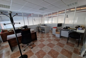 Foto 7