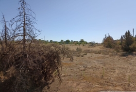 Mirandilla 10076&nbsp;м²