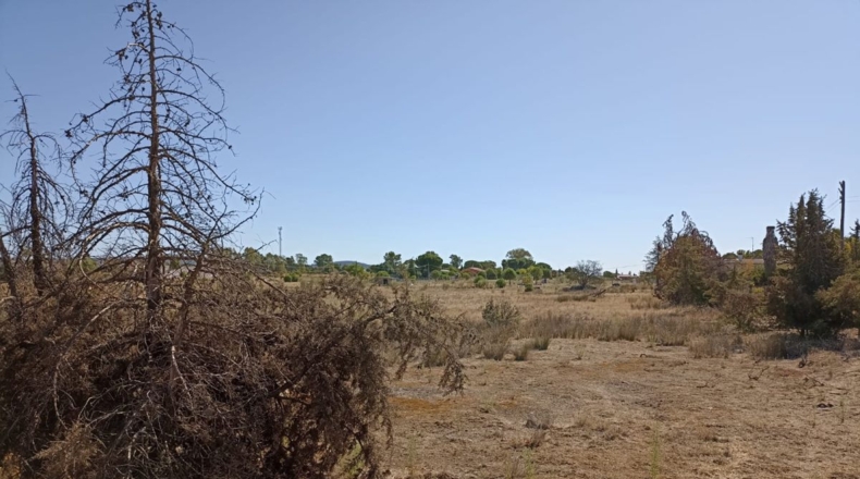 Badajoz - Mirandilla - 10076m2