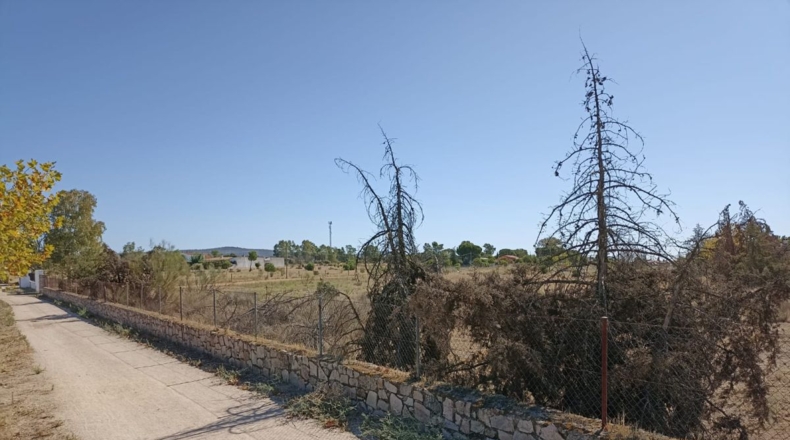 Badajoz - Mirandilla - 10076m2