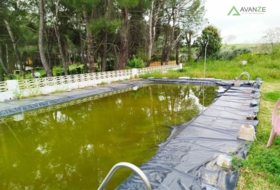 Foto 15