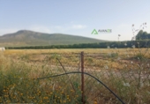 Finca rústica en venda a la España, Mèrida, ref.: TR234103 foto
