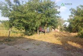 Foto 15