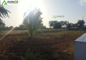 Finca rústica en venda a la España, Mèrida, ref.: TR234103 foto