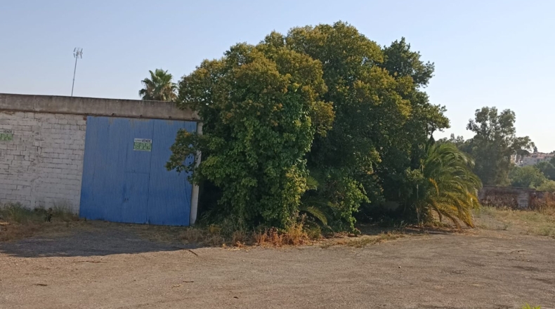 Badajoz - Mèrida - 2000m2