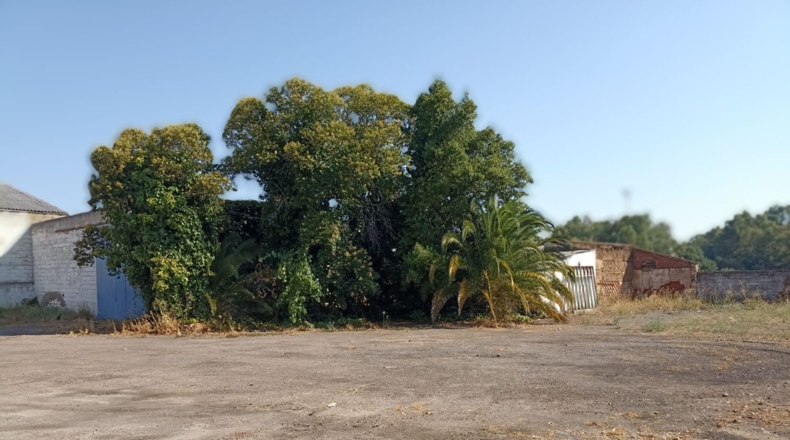 Badajoz - Mèrida - 2000m2