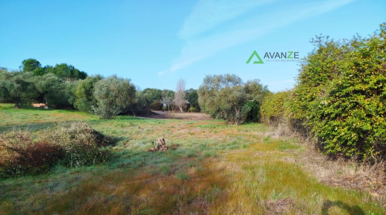 Badajoz - Mérida - 2500m2