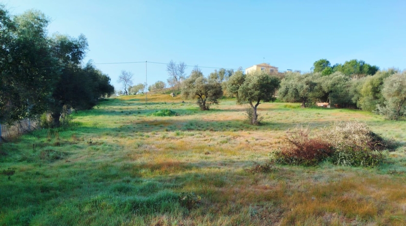 Badajoz - Mérida - 2500m2
