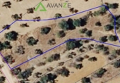 Terreno no urbanizable en venta en Don Álvaro ref: TR375725 foto
