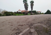 Rural estate for sale in Don Álvaro ref: TR382441 photo
