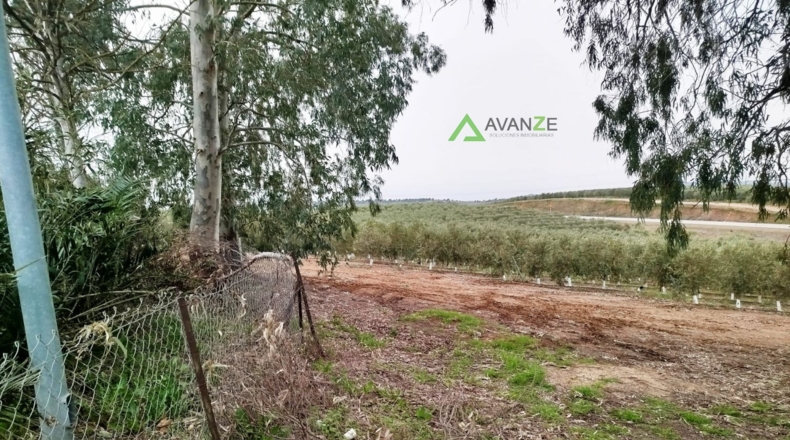 La Rioja - Alfaro - 215455m2