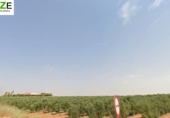 Rural estate for sale in Don Álvaro ref: TR382441 photo