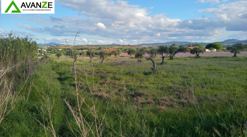 Badajoz - Mérida - 21879m2