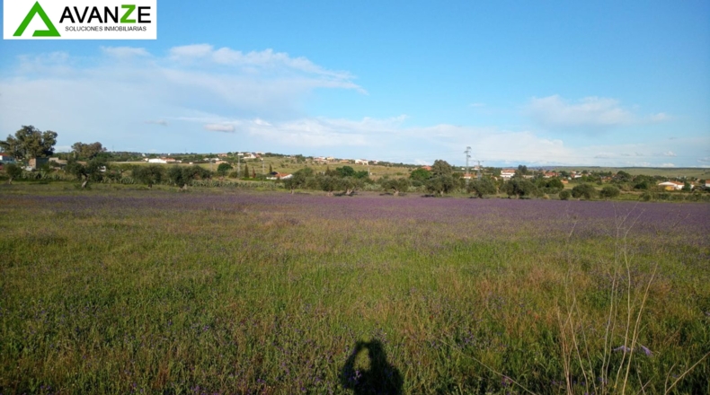 Badajoz - Mérida - 21879m2