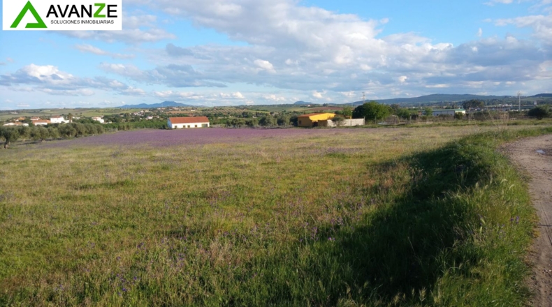 Badajoz - Mérida - 21879m2