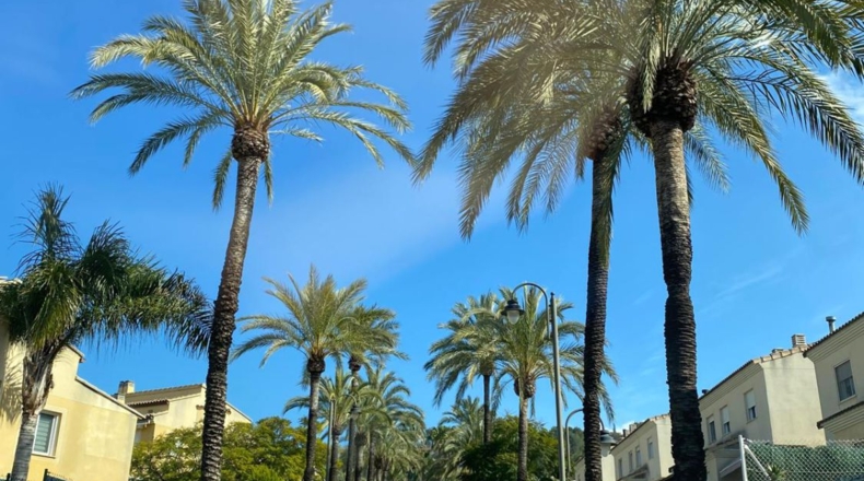 Valencia - Alzira - 500m2