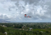Xalet independent amb terreny en venda a Pedreguer ref.: TR233303 foto